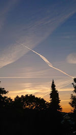 Low angle view of silhouette trees against sky during sunset