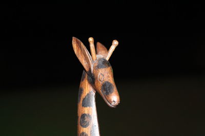 Close-up of wood against black background