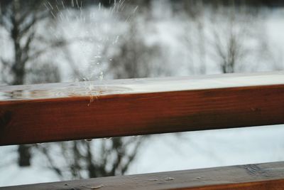 Close-up of frozen railing against bare trees during winter