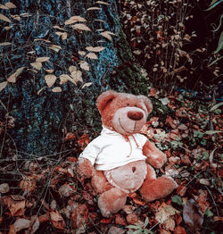 High angle view of stuffed toy on field during autumn