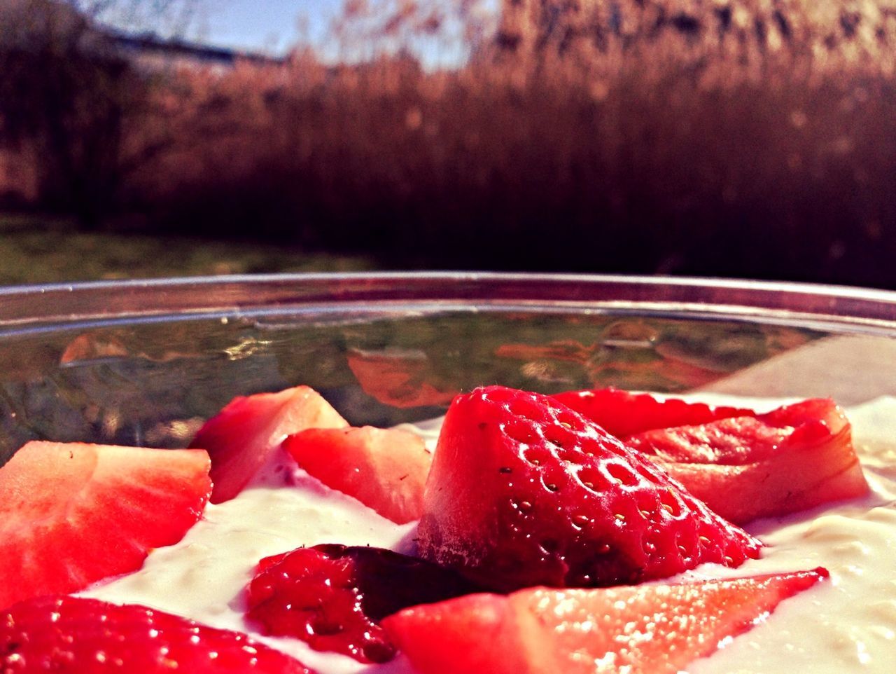 freshness, food and drink, food, red, close-up, indoors, focus on foreground, healthy eating, water, cropped, slice, sweet food, ready-to-eat, part of, wet, still life, indulgence, strawberry, selective focus, drop