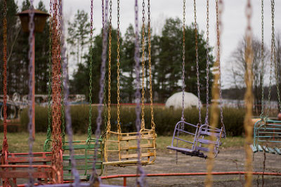 Close-up of trees against blurred background