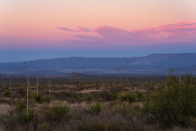 Scenic view of landscape against sky during sunset