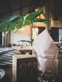 Close-up of potted plant on table in restaurant