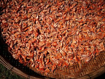 High angle view of chocolate in basket