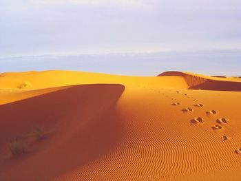 Footprints on sand at desert against sky