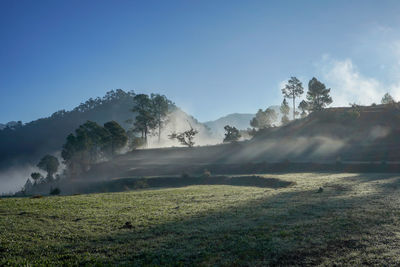 A beautiful landscape of a fine morning in the hills with sun rays peeping through the trees