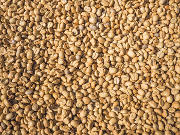 Coffee beans on the floor.