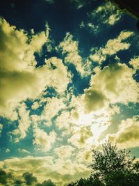 Low angle view of trees against sky during sunset