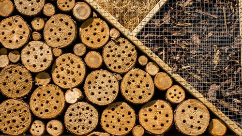 Full frame shot of dried food