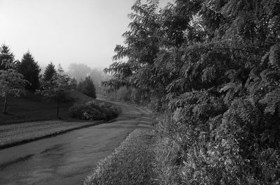 Road amidst trees against clear sky