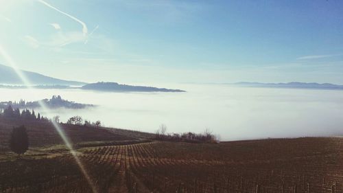 Scenic view of landscape against sky