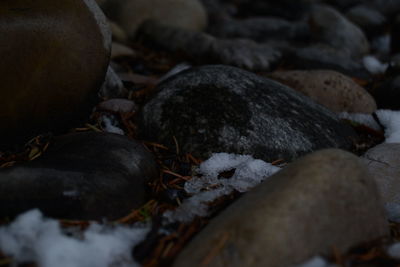 Close-up view of stones