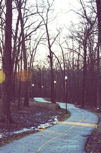 Empty road along trees