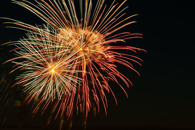 Low angle view of firework display at night