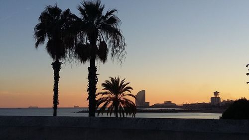 Silhouette palm trees on beach against sky during sunset