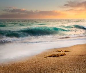 Scenic view of sea against sky during sunset