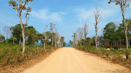 Dirt road along trees and plants against sky