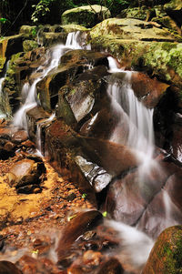 View of waterfall in forest