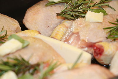 Close-up of meal served in plate