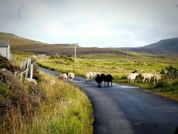 Road passing through landscape