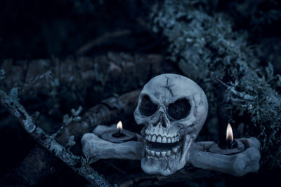 Close-up of human skull with illuminated candles during halloween