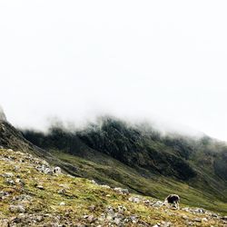 View of mountain landscape against sky