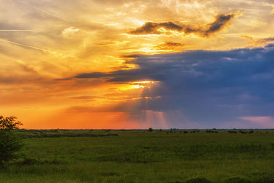 Scenic view of field against sky during sunset