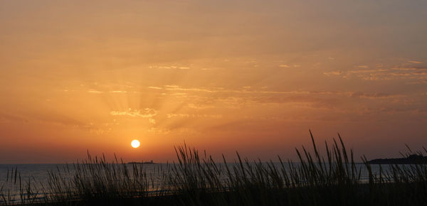 Scenic view of sea during sunset