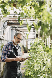 Mature gardener using digital tablet in greenhouse