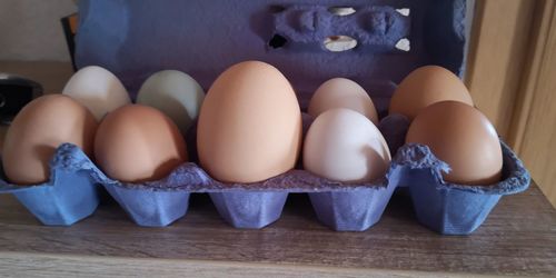 Close-up of eggs on table