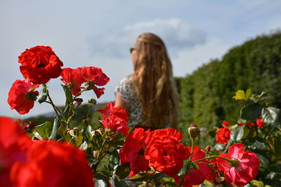 Close-up of red roses blooming against sky