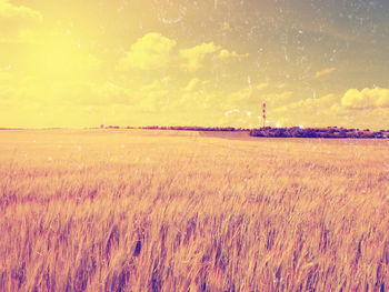 Scenic view of field against sky during sunset