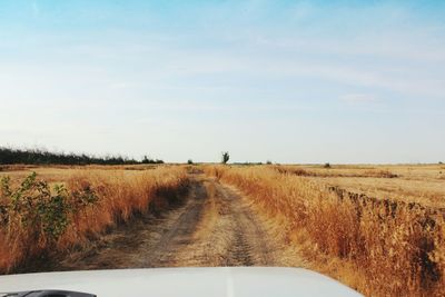 Road passing through field