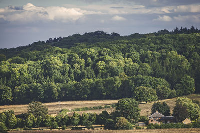 Trees on field against sky