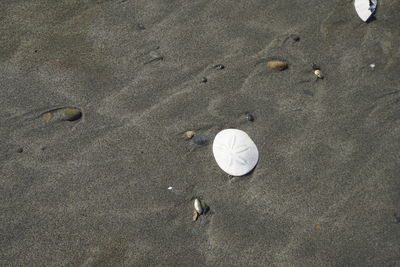 High angle view of footprints on sand