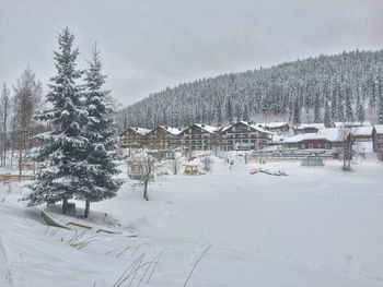 Houses on snow covered landscape against sky