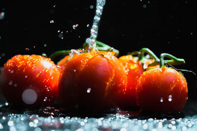 Close-up of wet orange fruit against black background