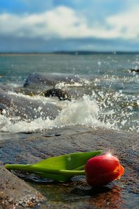 Close-up of water on beach against sky