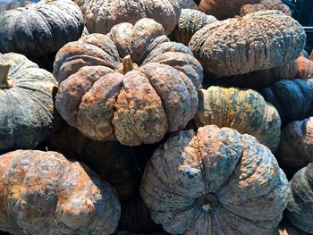 Full frame shot of pumpkins