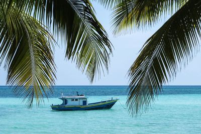 Scenic view of palm trees on sea against sky