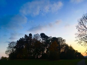 Low angle view of silhouette trees on field against sky