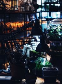 Display of terrariums