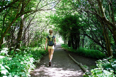 Rear view of young woman walking in forest