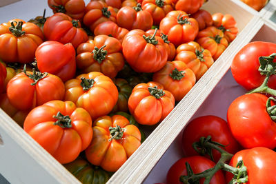 High angle view of pumpkins for sale at market