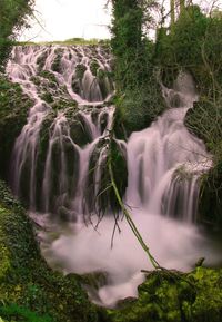 Scenic view of waterfall in forest