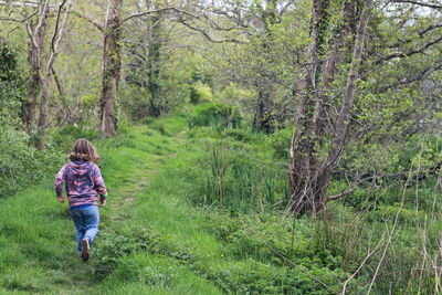 Rear view of boy walking in forest