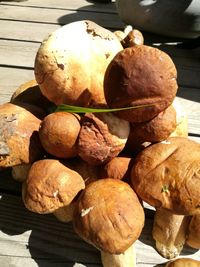 High angle view of pumpkins on table