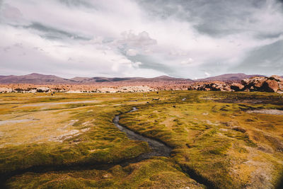 Scenic view of landscape against sky