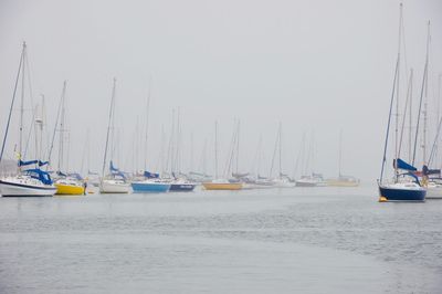 Sailboats moored in sea against clear sky
